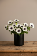 The Anemone Stem white and blush anemones in black matte ceramic vase